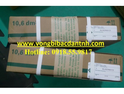 VÒNG BI SL182948.C3 INA